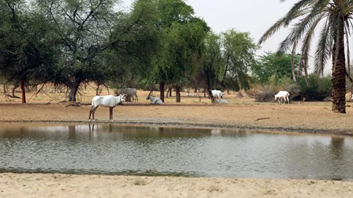 MoECC enters the final stage of a project for developing Qatar’s biodiversity database platform