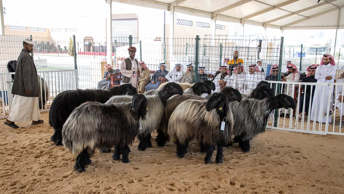 Katara inaugurated the 13th edition of the Halal Qatar Festival 