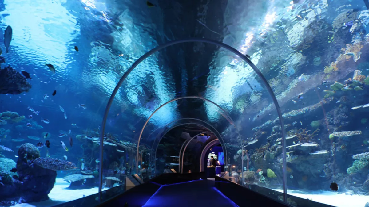 Explore a collection of facilities showcasing Qatar’s maritime history and marvels of marine life at Hamad Port Visitors Center 