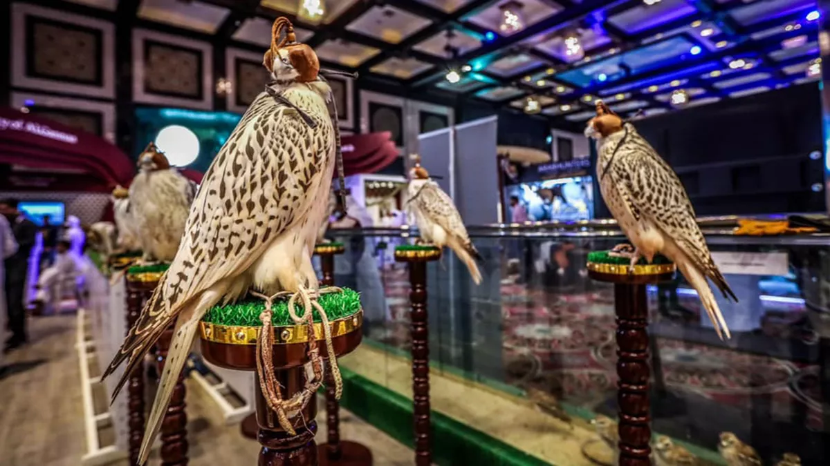 S'hail 2023, becomes a prestigious platform bringing together falconers and hunting enthusiasts from around the world