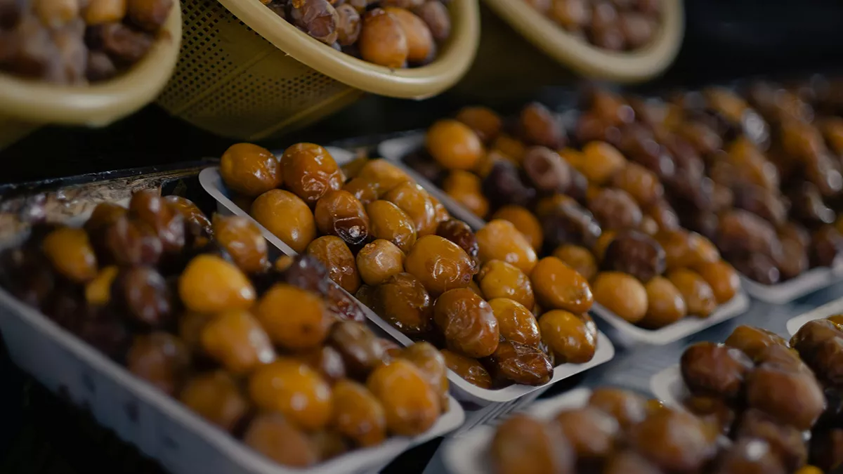 Ninth Local Fresh Dates Festival 2024 attracted over 50,000 visitors, sold over 240 tonnes of fresh dates