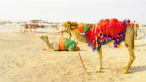 Visit Qatar introduces unique desert activation at Ras Abrouq