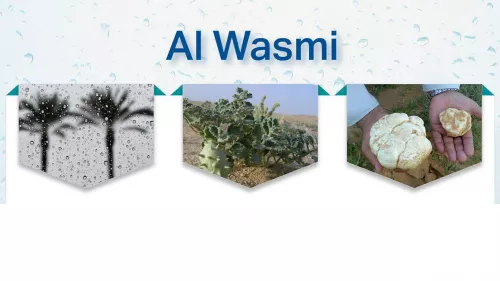 Al Wasmi season is predicted to begin on October 16