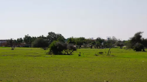 MoECC called upon picnickers to use designated path during their visits to meadows and green areas to preserve the plant ecosystem