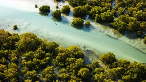 Purple Island in Qatar named among 50 Best Islands In The World