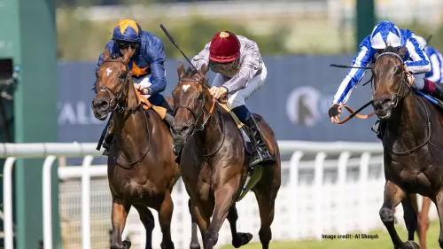 The Al Shaqab Hero Race: Qatar’s Premier Equestrian Event