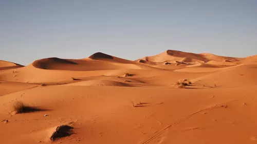 'Poison Wind' season arrives in Qatar