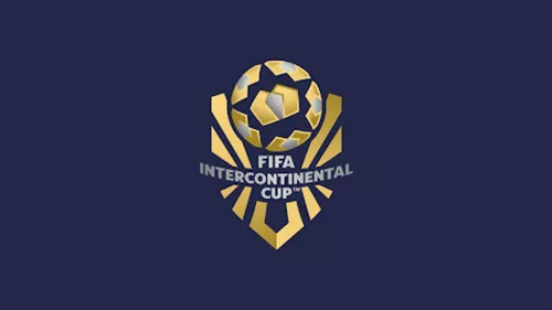 "FIFA Intercontinental Cup 2024" mobile app allows users to download previously purchased tickets or buy new tickets