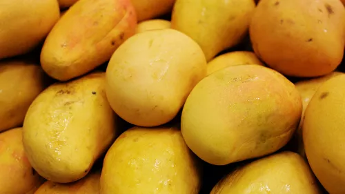 Indian Mango exhibition at Eastern square of Souq Waqif from May 30 to June 8