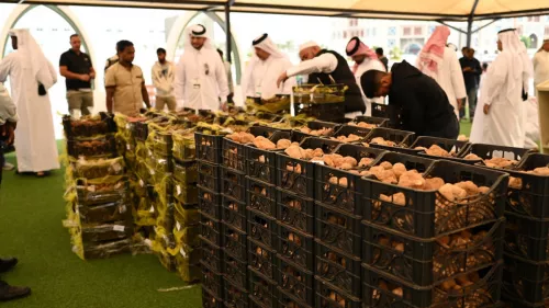 First edition of the Souq Waqif Truffle Exhibition and Auction has sold 70 tonnes of truffles so far