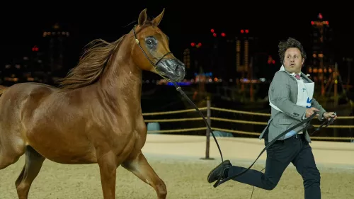 Arabian Peninsula Horse Show 2024; a captivating display of the equestrian heritage unfolded on the inaugural day 