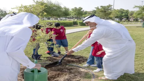 Millionth tree planted as part of 'Plant Million Trees' initiative