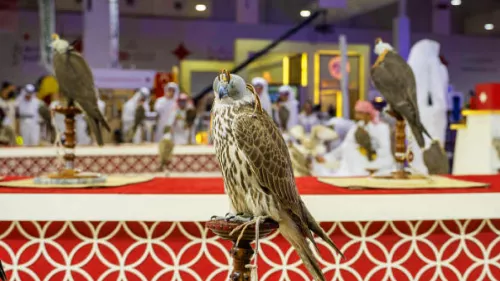 Qatar International Falconry and Hunting Festival (Marmi 2025) to begin on January 1